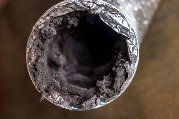 Best HVAC Duct Inspection Services  in Midway, GA